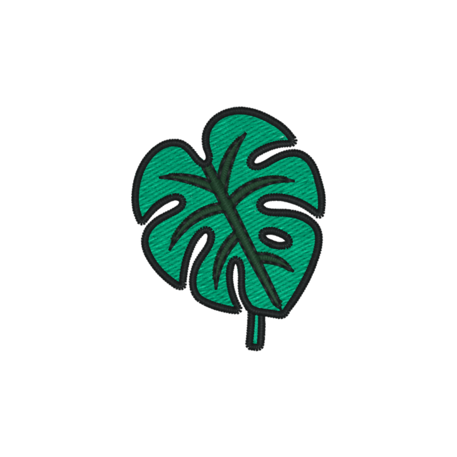 Monstera
