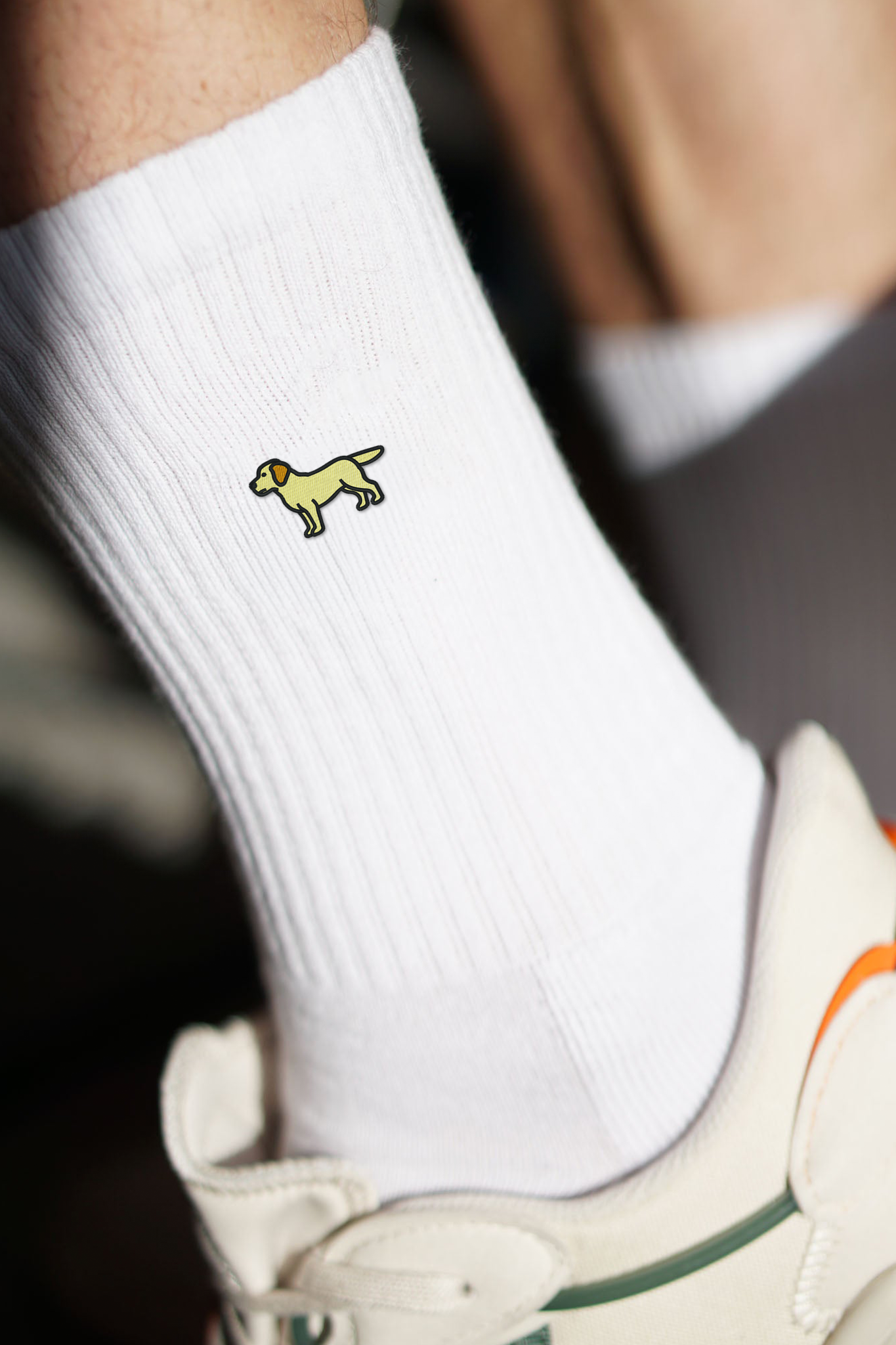 Labrador Gold Socken Weiß Ansicht 4