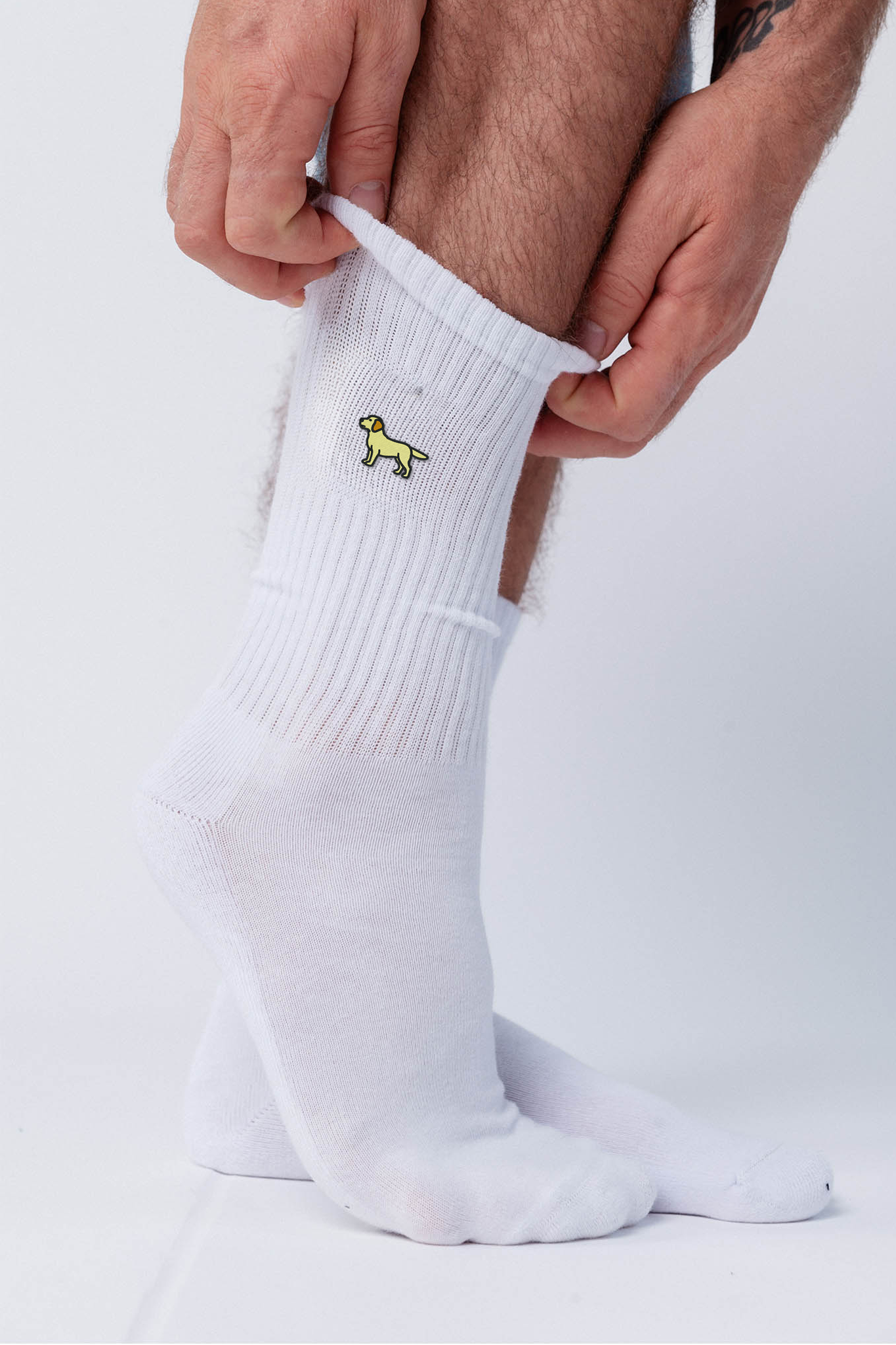 Labrador Gold Socken Weiß Ansicht 1